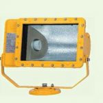 Warom Floodlight Explosion Proof BAT85