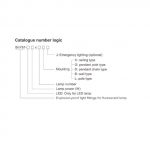 Light Fittings for Fluorescent Lamp BnY81 Series Explosion-proof