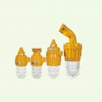 HRD61 Explosion proof Pendant Light Fittings
