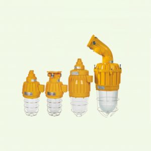 HRD61 Explosion proof Pendant Light Fittings
