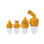HRD61 Explosion proof Pendant Light Fittings