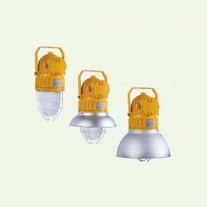 BDD91 EX-PROOF PENDANT LIGHT FITTINGS