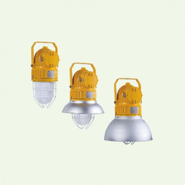BDD91 EX-PROOF PENDANT LIGHT FITTINGS