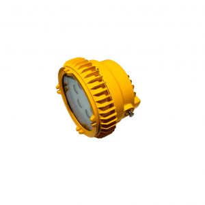BDD95 EX-PROOF LED LIGHT FITTINGS