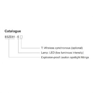 BSZD81-E EX-PROOF LOCAL CAUTION SPOTLIGHT FITTINGS