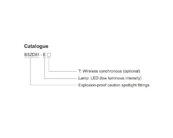 BSZD81-E EX-PROOF LOCAL CAUTION SPOTLIGHT FITTINGS