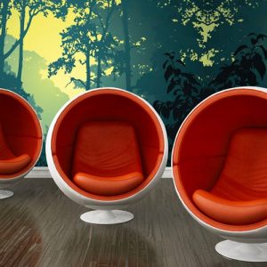 Barrisol Artolis Printed Murals