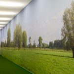 Barrisol Artolis Printed Murals