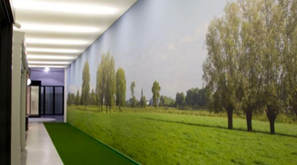 Barrisol Artolis Printed Murals