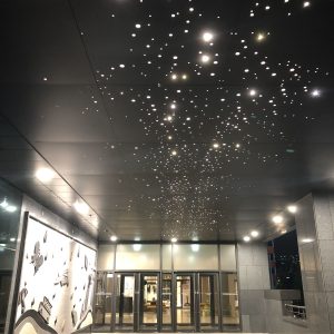 fiber optic lighting