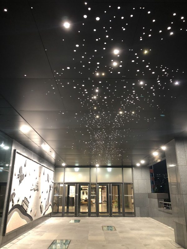 fiber optic lighting