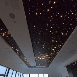fiber optic lighting